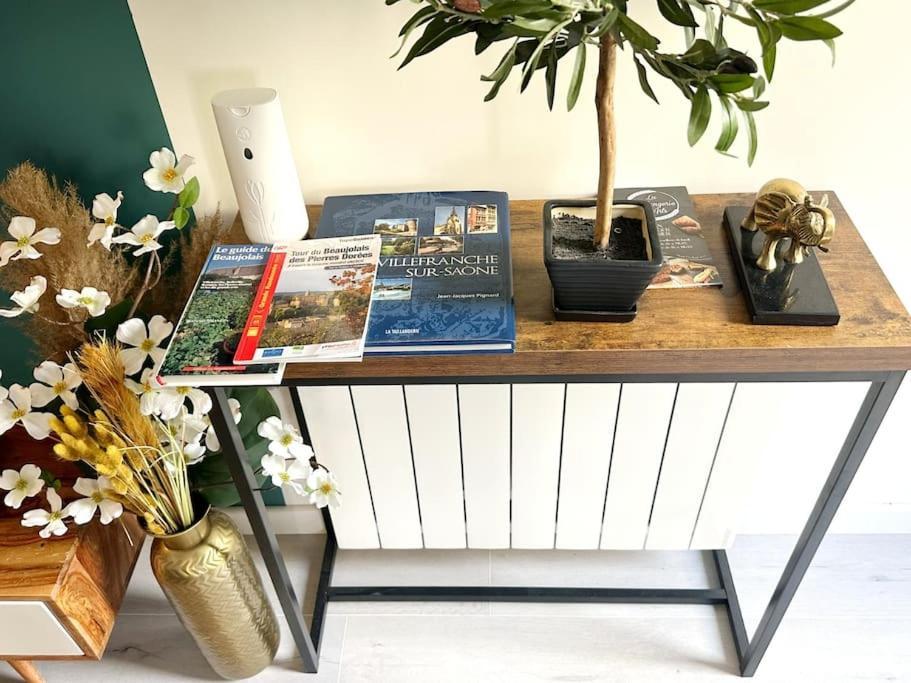 Apartament Loasis - Duplex T4 Hypercentre Villefranche-sur-Saône Zewnętrze zdjęcie